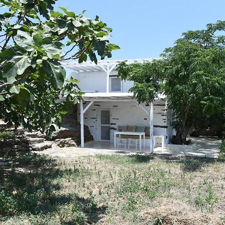 The Stone Tinos Exterior foto